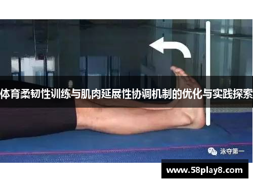 体育柔韧性训练与肌肉延展性协调机制的优化与实践探索